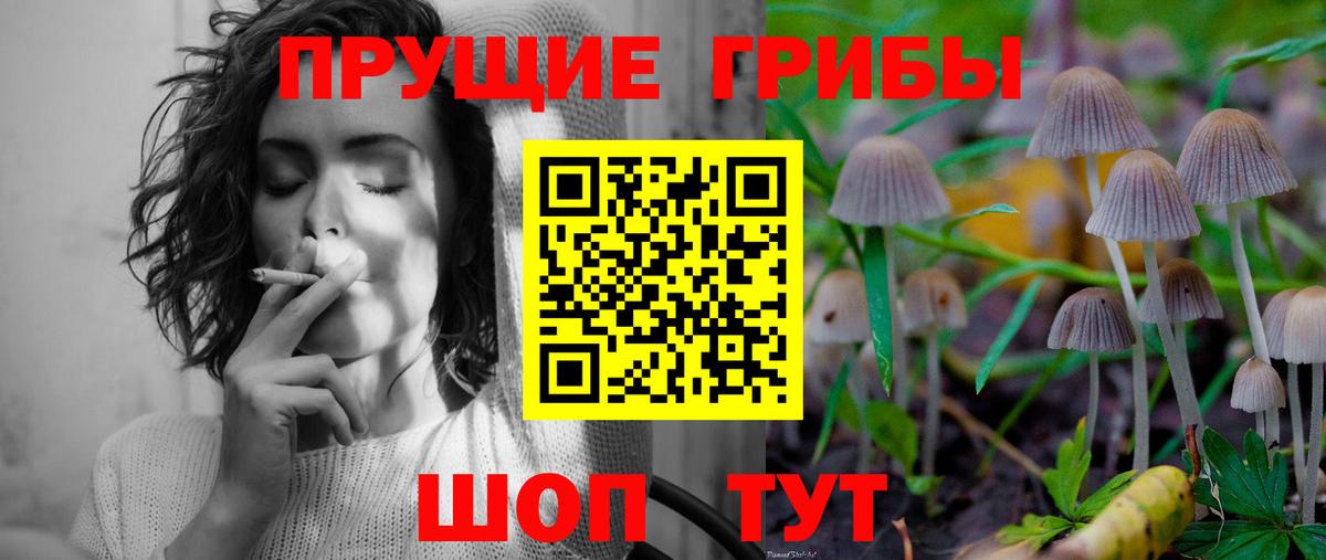 Псилоцибиновые грибы мицелий Выкса