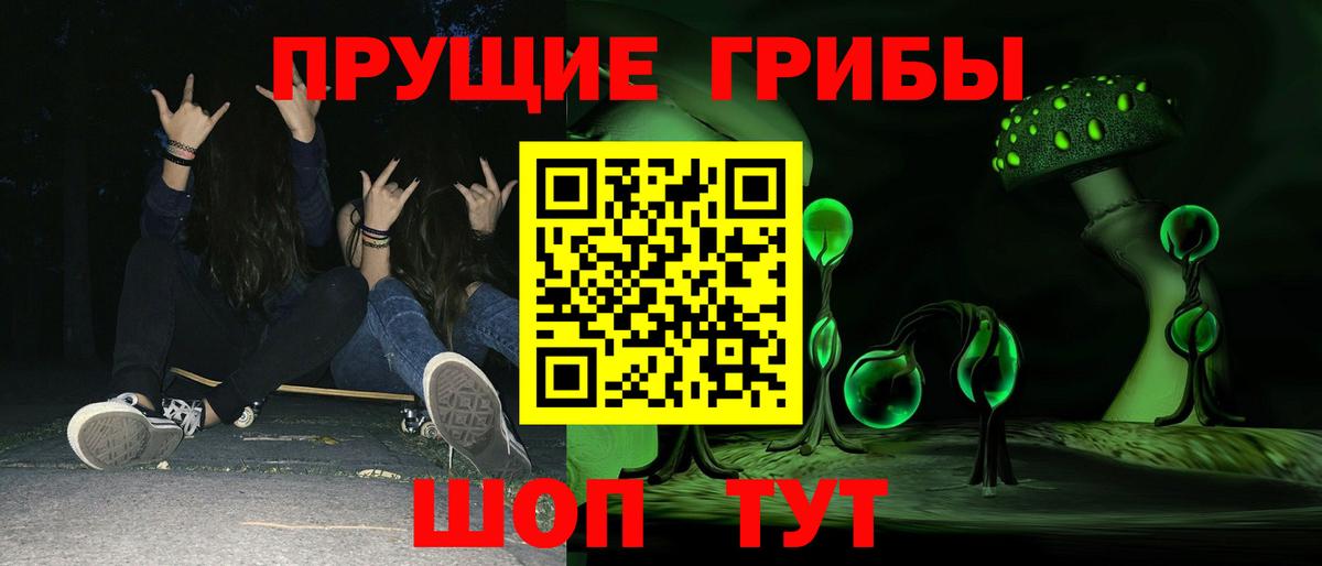 Выкса  Галлюциногенные грибы Psilocybe  Вход с VPN  Псилоцибиновые грибы Psilocybe 
