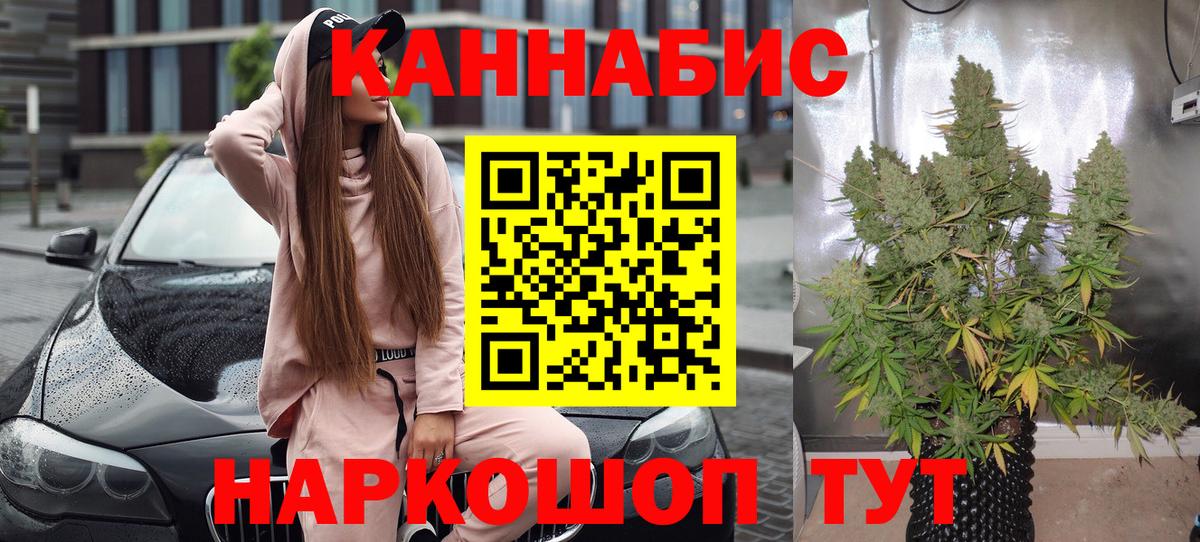 Бошки марихуана конопля Выкса